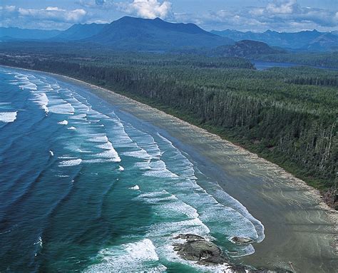 Scenic Road Trip Top Things To Do From Victoria To Pacific Rim
