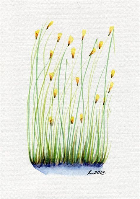 Flowers Grass Herbs Watercolor Original Painting Art Quick Etsy