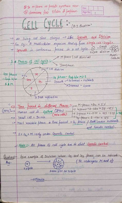 Chapter 10 Cell Cycle And Cell Division Class 12 Biology Notes For