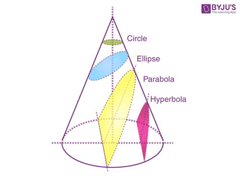 Cross Section Meaning Definition Types Of Cross Section Examples