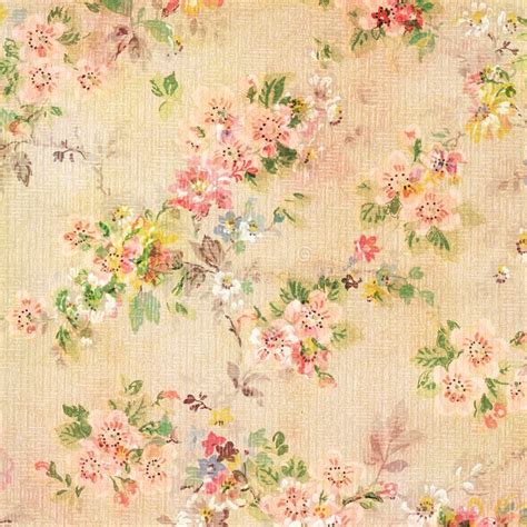 Shabby Chic Vintage Antique Rose Floral Wallpaper Stock Photo Image