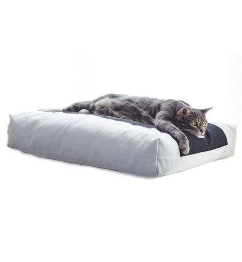 Padi Pillow Cat Bed From Mykotty Stylish Cat Bed Cat Bed Designer