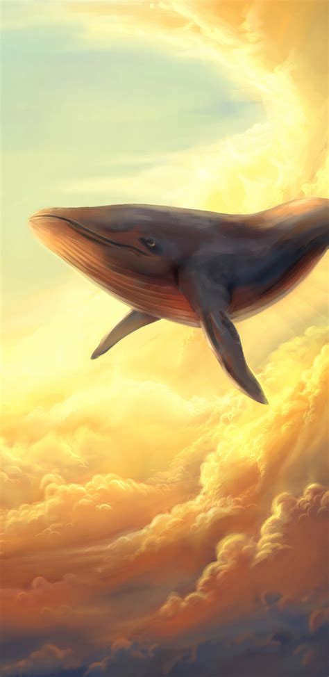 Samsung S8 Whale Wallpapers Top Free Samsung S8 Whale Backgrounds