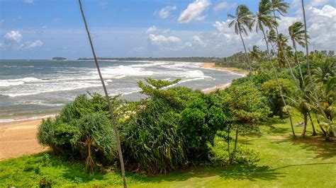No Quarantine Sri Lanka Has Reopened Its Borders To Tourists Fcam