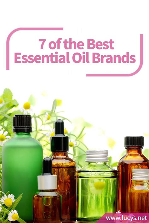 Best Affordable Essential Oil Brands Brwth