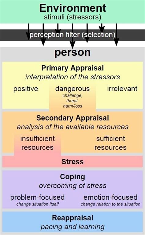 Cognitive Appraisal Theory Of Emotion Erik Anderson Therapy