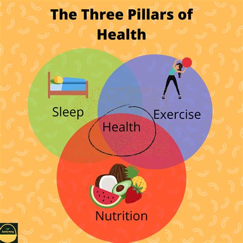 3 Pillars Of Health Health Sleep Exercise Health And Nutrition