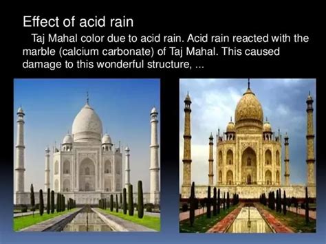 🎉 Effects Of Acid Rain On Historical Monuments Effects Of