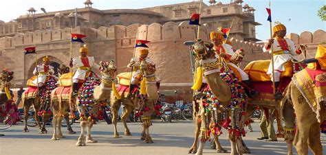 Camel Festivals Bikaner 2021 Bikaner Camel Festival Fair And Festival