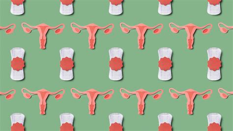 The Link Between Uterine Fibroids And Heavy Menstrual Bleeding