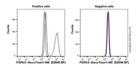 Results For Pgp95 Abcam Antibodies Proteins Kits