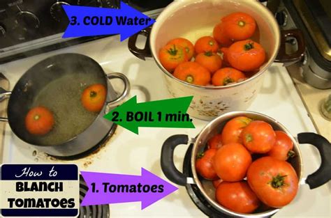 Blanche tomatoes for canningshow all. DIY Homemade Spaghetti Sauce Canning Recipe Tutorial