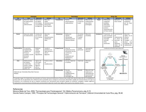 Vías De Administración Cuadro Comparativo Pdf Medicamentos Con Receta Drogas