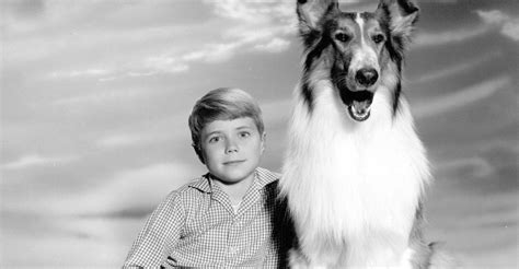 Lassie Staffel 2 Jetzt Online Stream Anschauen