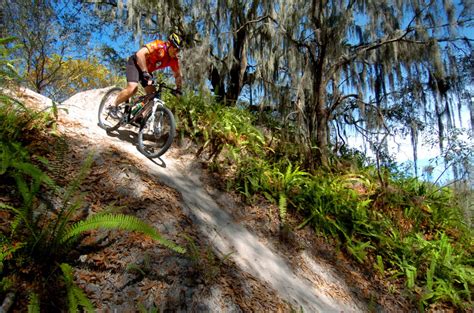 Best Mountain Bike Trails In Florida Sauserwind