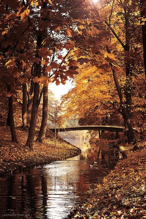 Warm Autumn By Konrad Demczuk On 500px Amazing Nature Beautiful Places