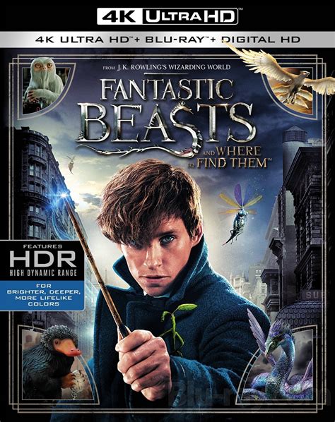 Fantastic Beasts And Where To Find Them 4k 2016 4k Hdclub Download