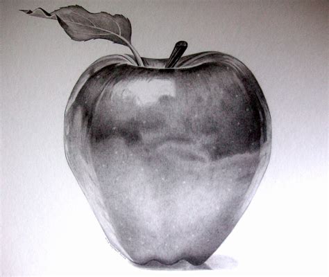 Apple Pencil Sketch At Explore Collection Of Apple