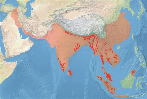 Modern and Historical range of the elephants - Vivid Maps