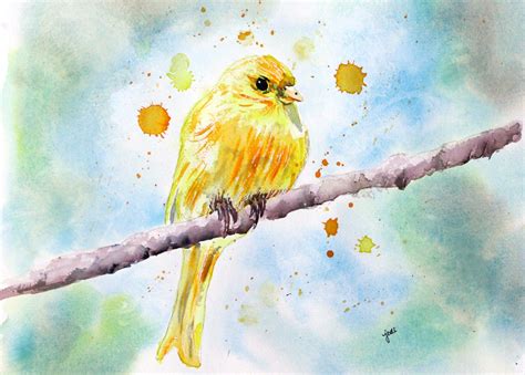 Yellow Canary Watercolor Print Bird Painting Bird Painting Animal