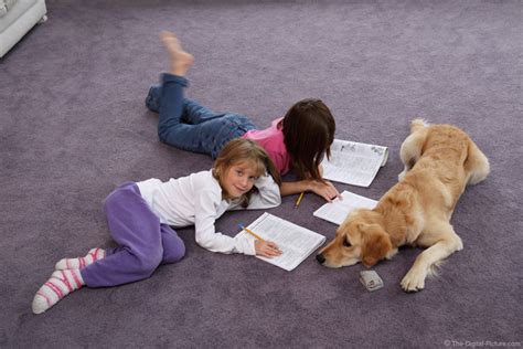 Three Girls Doing Homework