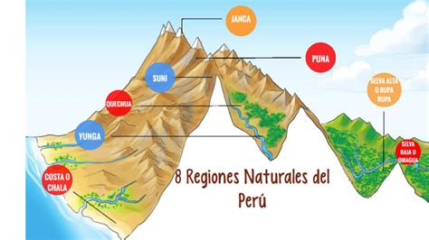 8 Regiones Naturales Del Perú By Lucero Fernández On Prezi