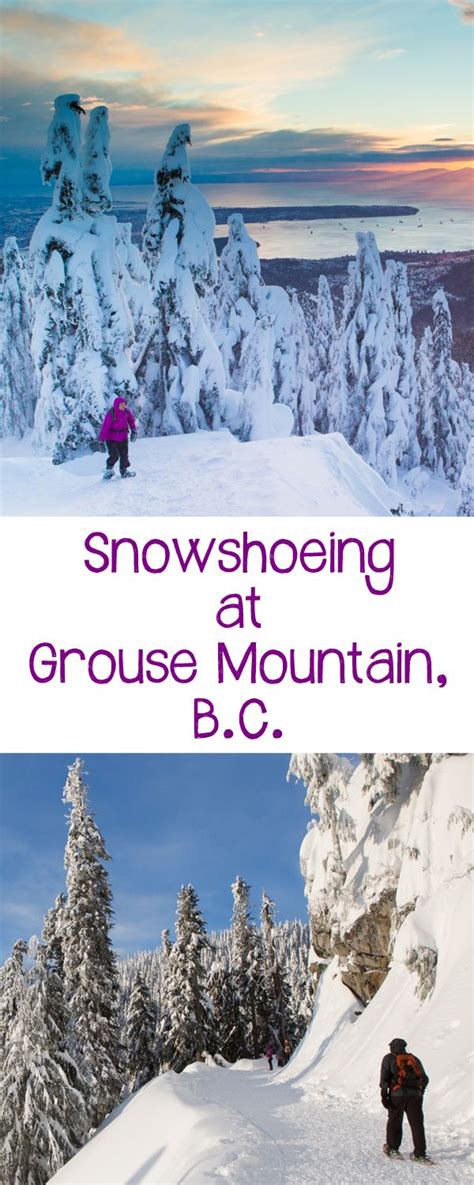 At The Peak Of Christmas Up At Grouse Mountain Great Local Snowshoeing