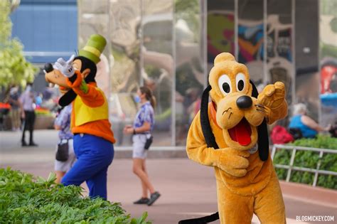 Goofy And Pluto Physically Distanced Meet And Greet Debuts In Epcot