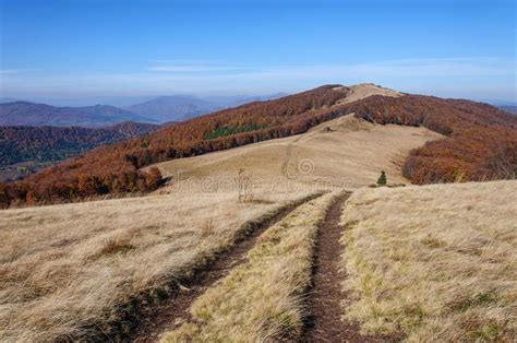 Colorful Autumn Morning In Carpathian Mountains Sokilsky Ridge