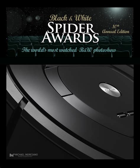 Black And White And Seen All Over The Spider Awards Indresano Studios