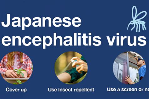 Japanese Encephalitis Virus Outbreak Declared In Australia — Precision
