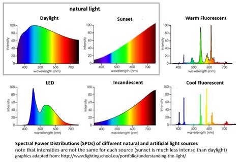 natural light versus artificial light - Sunlight Inside