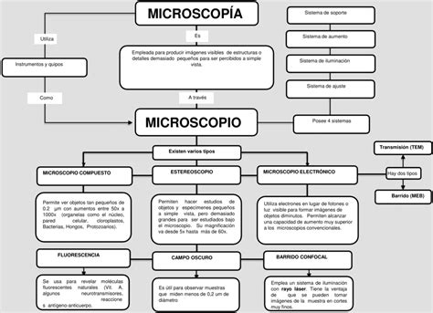 Mapa Mental Del Microscopio Mapas Conceptuales Bonitos Mapas The Best