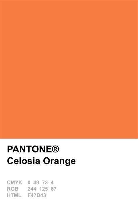 The 25 Best Pantone Orange Ideas On Pinterest Pantone Pink Color