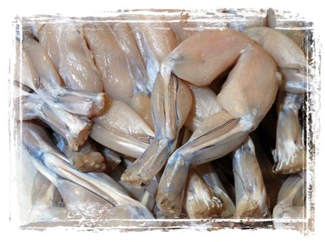 Live Seafood for Sale | Tony's Seafood & Deli in Baton Rouge