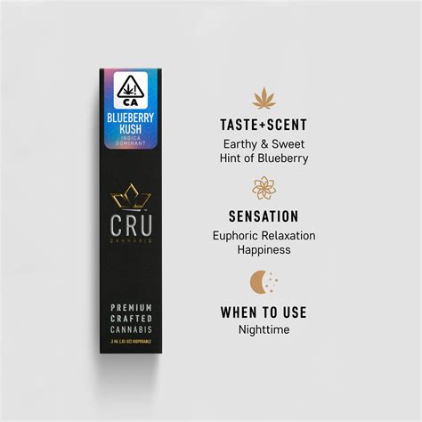 Cru Cannabis Blueberry Kush Disposable Pen 3ml Leafly