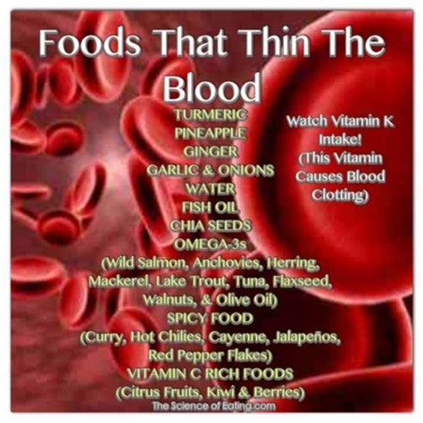Natural Blood Thinners Food Medicinesio