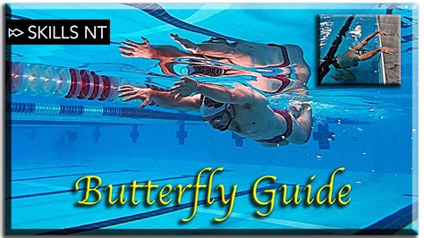 Improve Your Butterfly Swimming 5 Stages Technique For Beginners