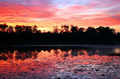 Swamp Sunset Photograph By Kristin Elmquist Fine Art America