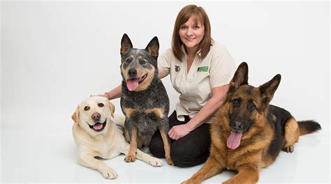 Home Dog Training Chester Wrexham And North Wales Bark Busters