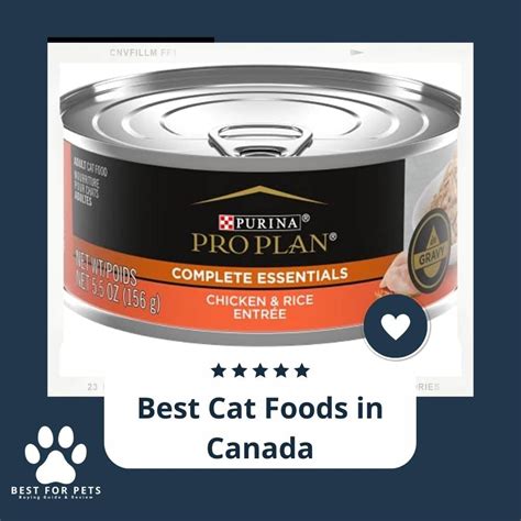 The 12 Best Cat Foods In Canada