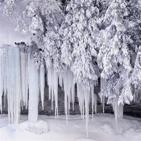 10 Most Popular Winter Snow Scenes Wallpaper Full Hd 1920×1080 For Pc