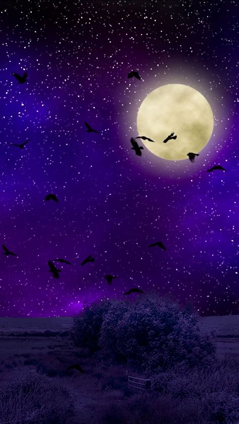 Check spelling or type a new query. Full moon, starry sky, birds, night, photoshop wallpaper ...