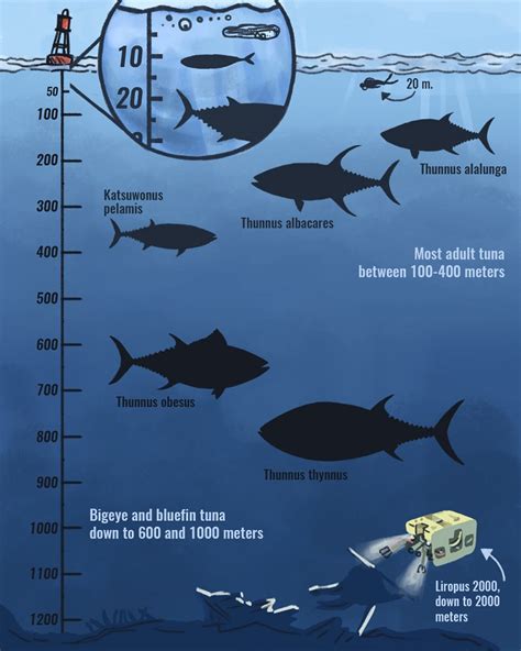 How Deep Can Tunas Swim Planet Tuna