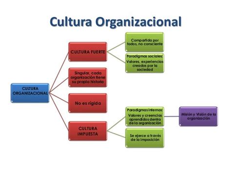 Niveles De Cultura Organizacional