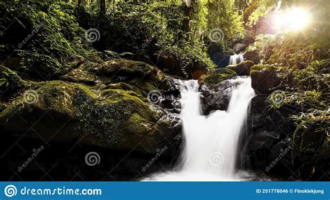 The Rainforest With A Waterfall River Rocks Covered With Green Moss
