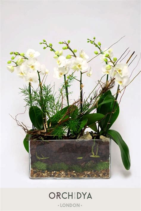 Fantastic Orchid Plant In Glass Vase Artificial Plants Leaves
