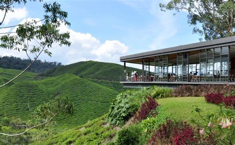 It has a cafe on top of hill with fantastic view of 8000acres comparing to cameron valley by bharat tea plantations, which can be seen along the road going up to brinchang town, sungai palas boh tea. Artistic cafe in BOH tea farm - Picture of Cameron ...