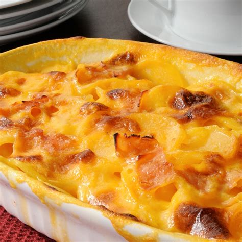 Today i'm sharing an easy chicken casserole recipe with you. Cheesy Potato Casserole Recipe