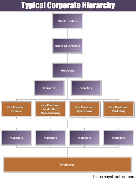 Typical Corporate Hierarchy Hierarchy Business Systems Marketing